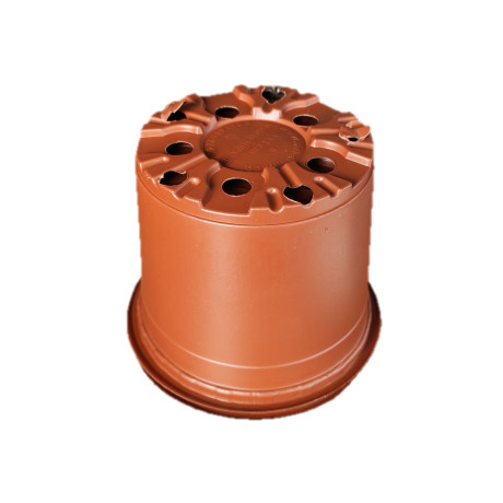 Ghiveci de productie 13 cm, set 100 buc