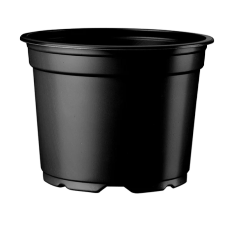 Ghiveci de productie 10,5 cm, set 100 buc