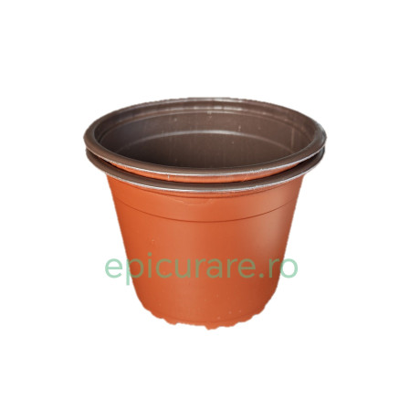 Ghiveci de productie 13 cm, set 100 buc