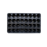Alveole 1x32